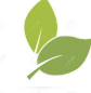 logo feuilles